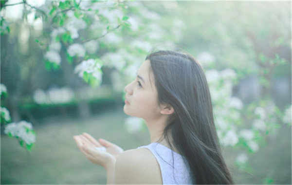 回民验血查男女几周可以验(验血查男女结果图)